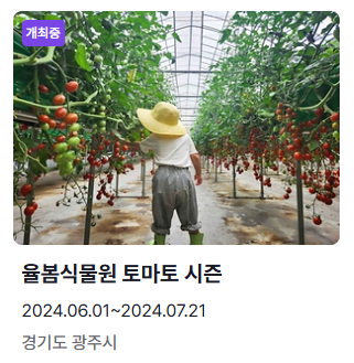 6월 축제 일정표