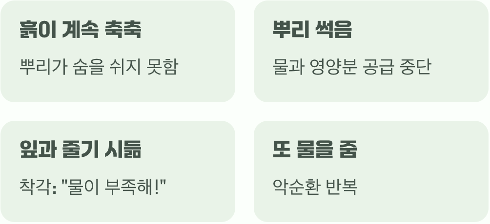 과한 사랑이 부르는 비극, 과습