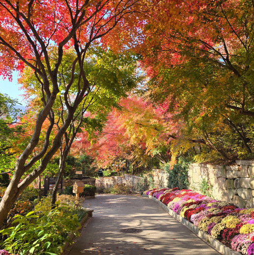 화담숲 홈페이지 참조