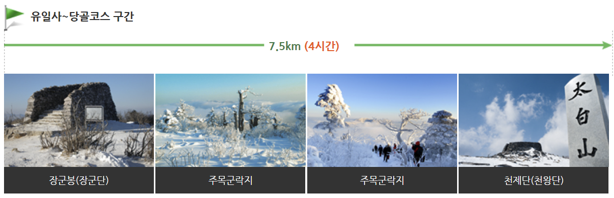 태백산 탐방코스∣유일사 당골 금대봉 탐방로 예약 (출처 : 태백산 국립공원 홈페이지)