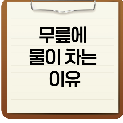 무릎에 물이 차는 이유