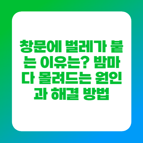 창문에 벌레가 붙는 이유는? 밤마다 몰려드는 원인과 해결 방법
