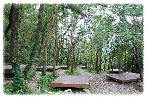 오도산자연휴양림