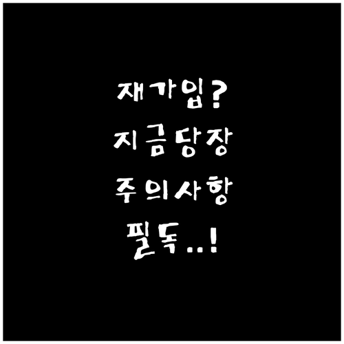 청년미래적금 재가입 가능 시점과 주의..