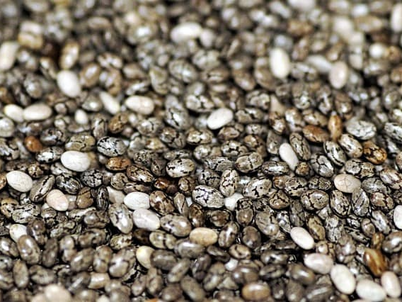 치아씨드 물과 함께 섭취