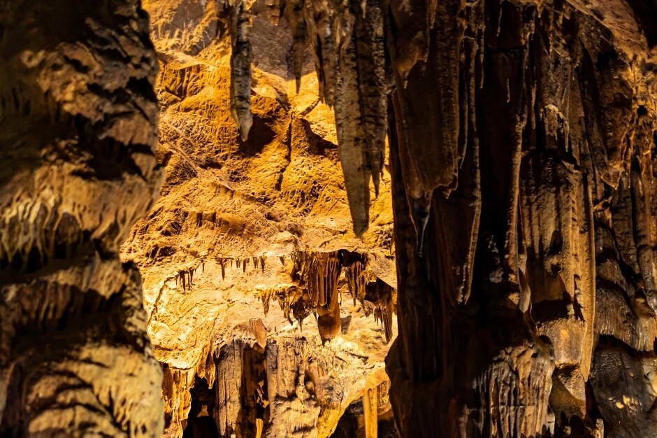 울진 성류굴 입장료 운영시간