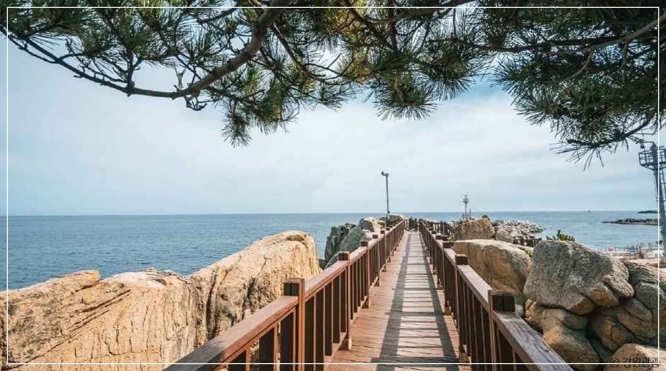 고성 가볼만한곳 베스트10 능파대