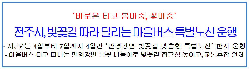 전주시 만경강변 벚꽃길 '마을버스 특별노선' 운행(일정, 꿀팁, 주의사항)