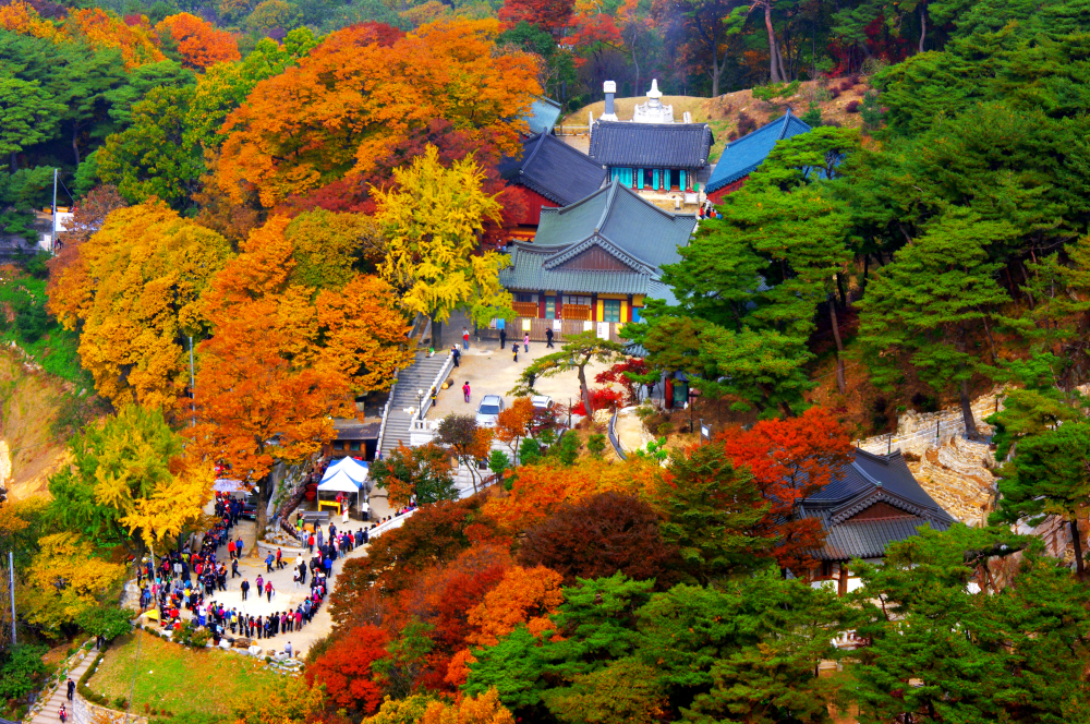 안양 삼막사 계곡 주소 가는길 위치 교통 주차 화장실 날씨 정보