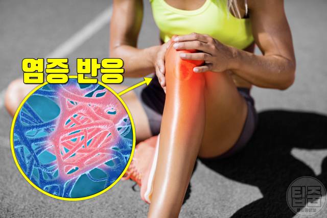 만성염증에 좋은 음식