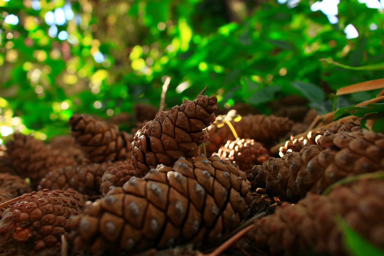 창의성과 문제 해결력을 길러주는 자연 탐구 학습법