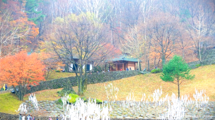 배달성전