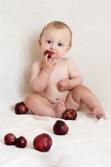 2024 서울 코베 베이비페어 할인이벤트