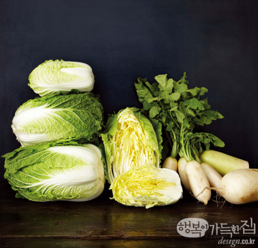 9월에 심는 작물 가을 텃밭 주말농장 야채 채소 키우기 농작물 10가지 1