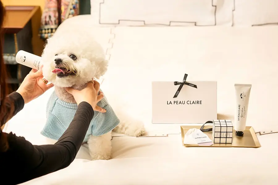 서울 레스케이프 호텔 &amp;#39;비러브드 프렌즈&amp;#39; 패키지 [반려견과 함께하는 특별한 호캉스 펫캉스 라퓨클레르]