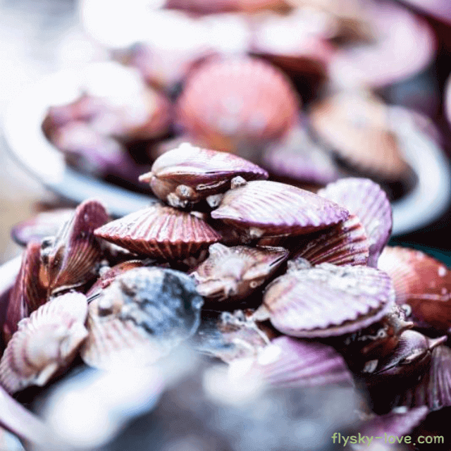 칼륨이 풍부한 가리비