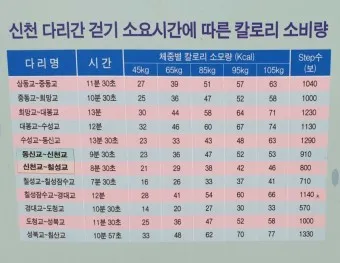 걷기 칼로리 계산기 걸음수 소비 칼로리_18