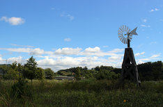 보성 다향대축제 보성 녹차축제