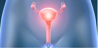 여자 왼쪽 아랫배 통증 원인 7가지 왼쪽 아랫배 땡김 콕콕 찌릿 증상