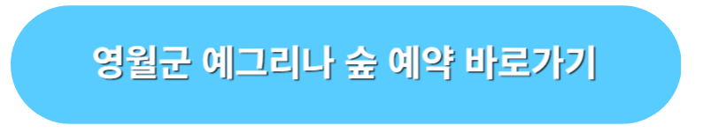 영월군 예그리나숲 캠핑장 예약 바로가기