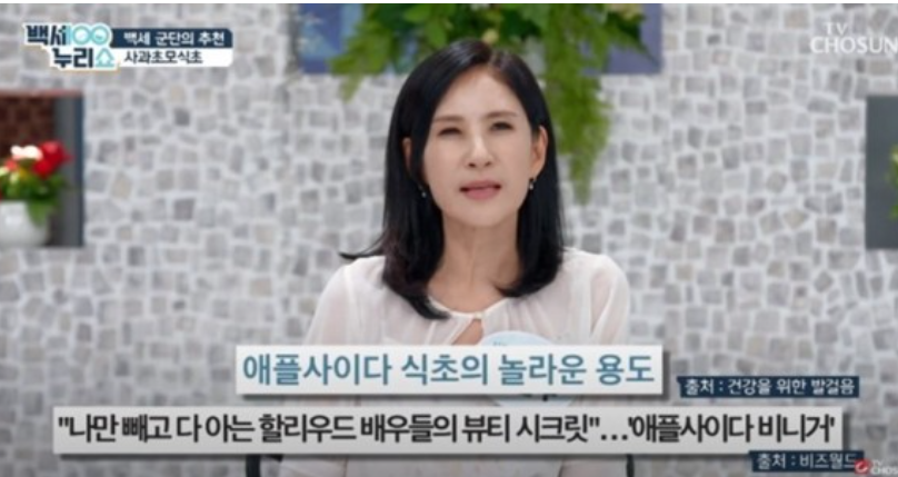 애플사이다