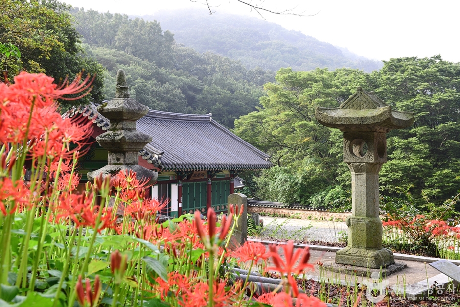 함평 가볼만한곳 베스트10