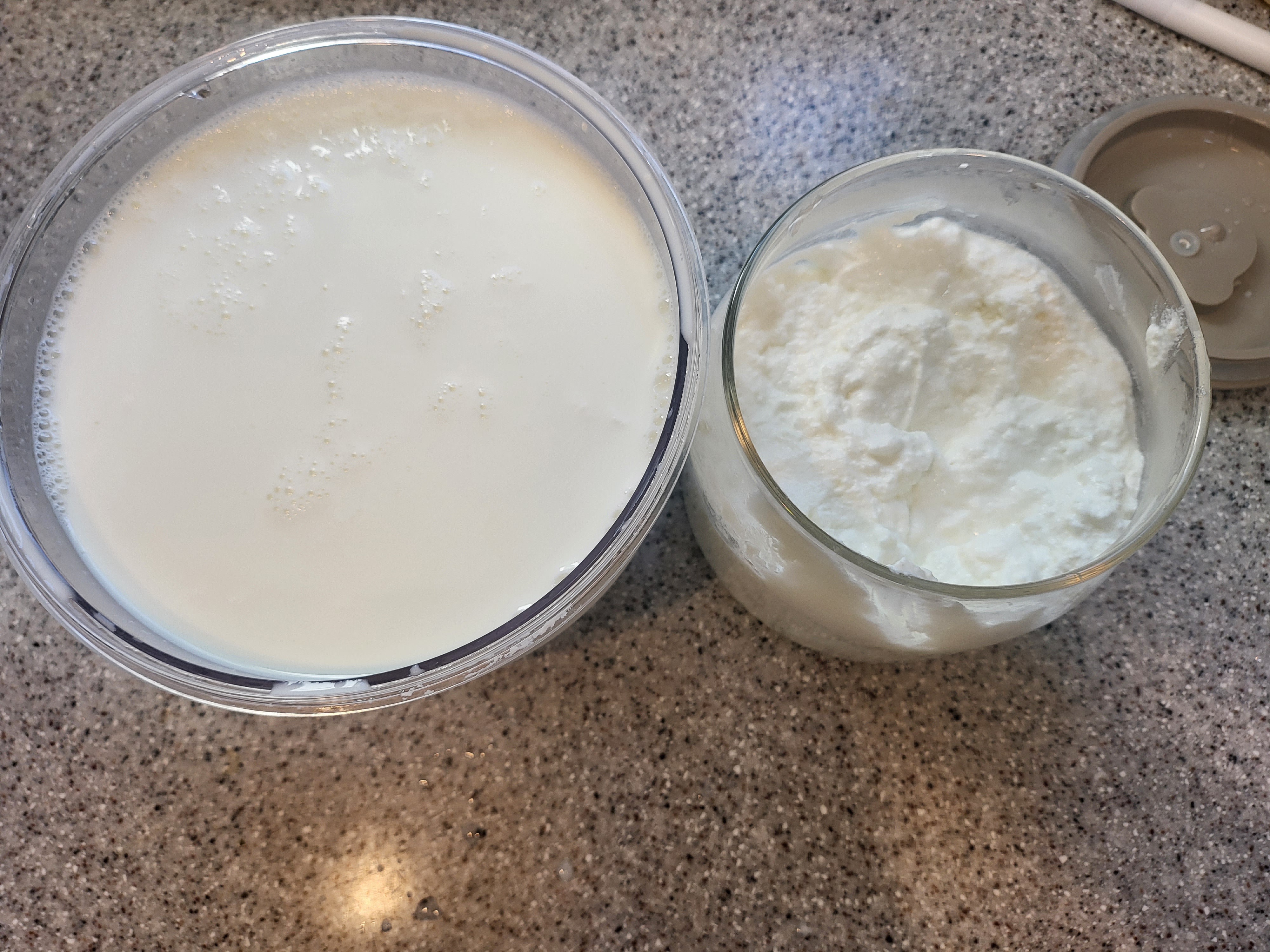 그릭요거트 만들기