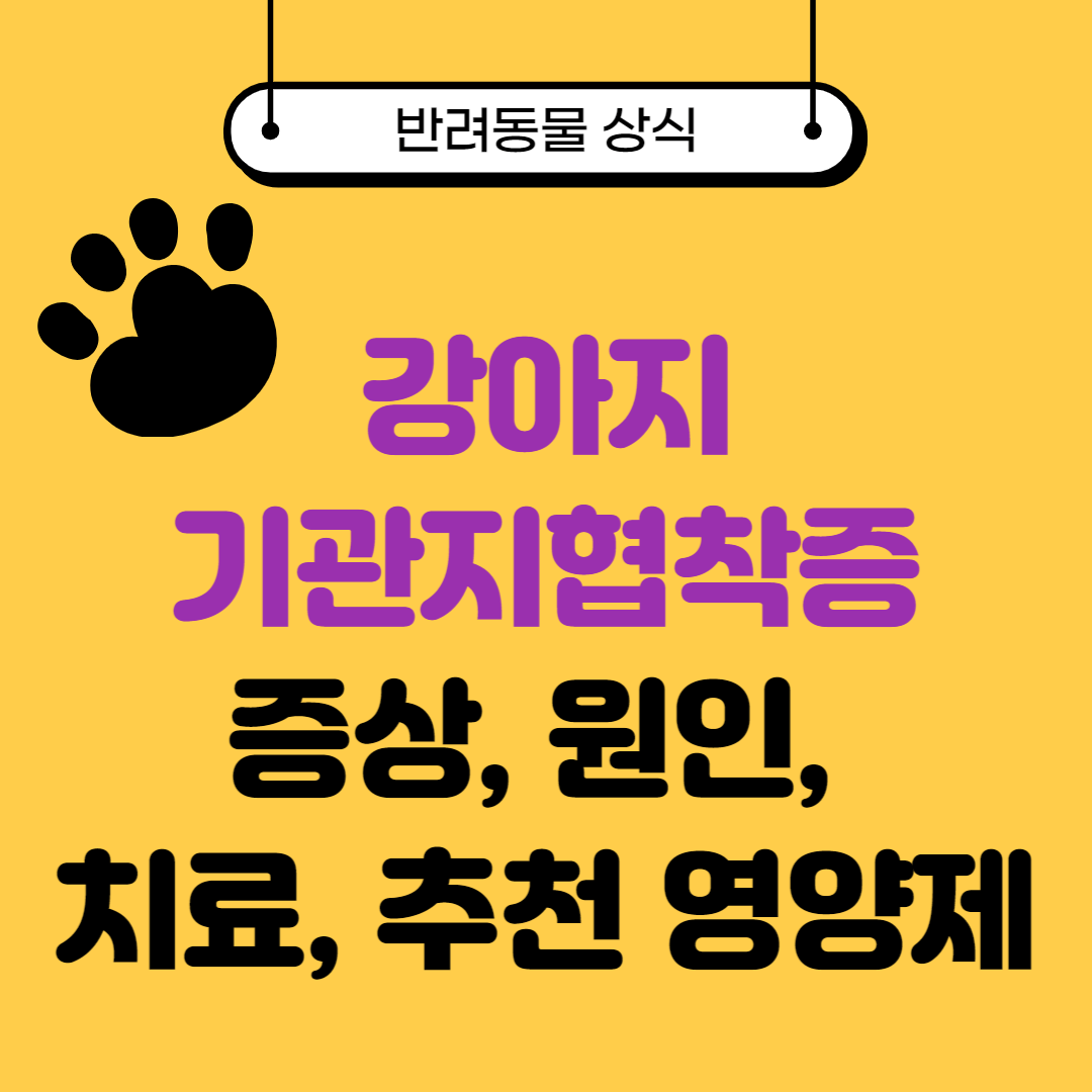 강아지 기관지협착증 증상 및 추천 영양제 성분