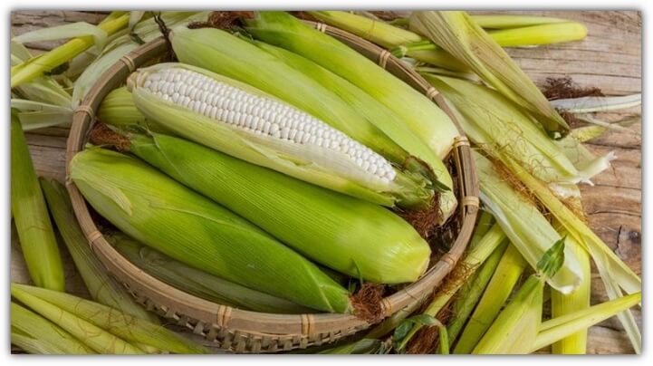 옥수수
