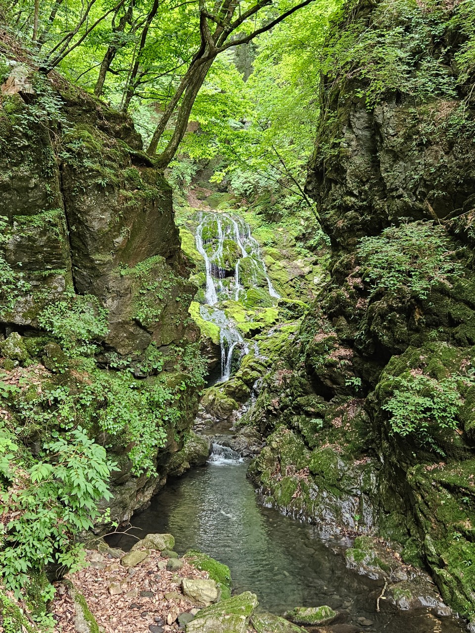 삼척 무건리 이끼폭포