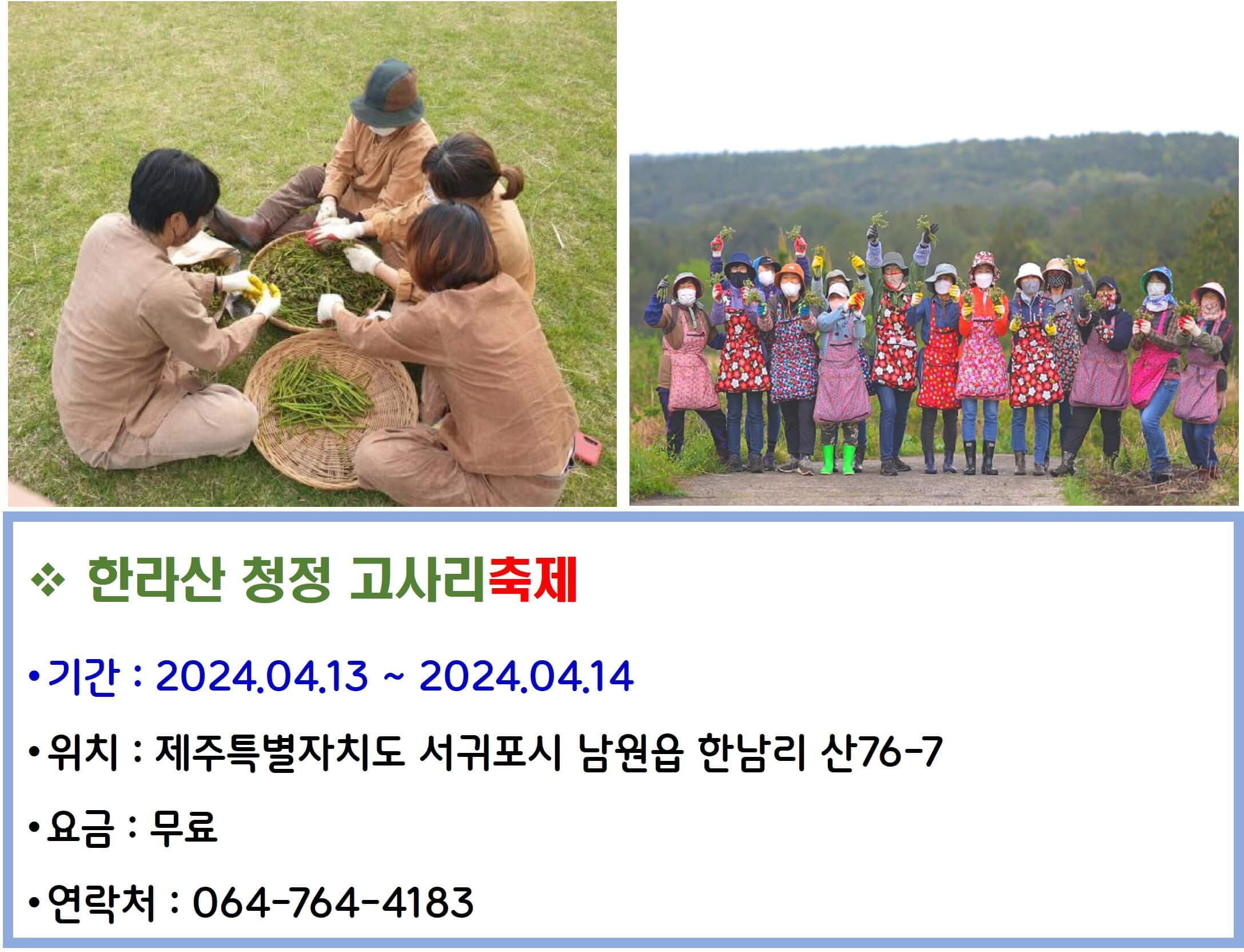 한라산 청정 고사리축제