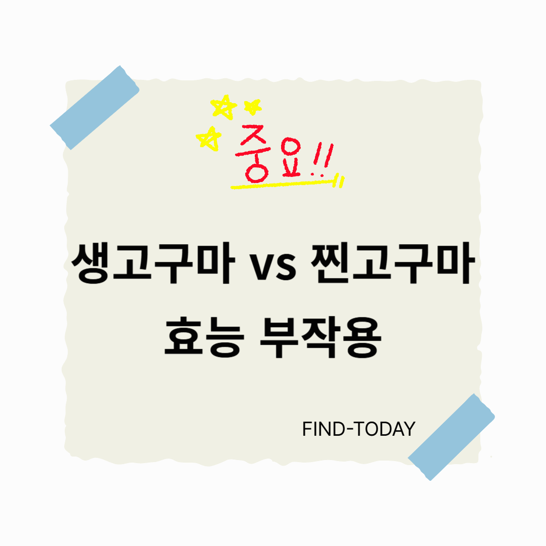 생고구마 효능 부작용 vs 찐고구마 효능 부작용