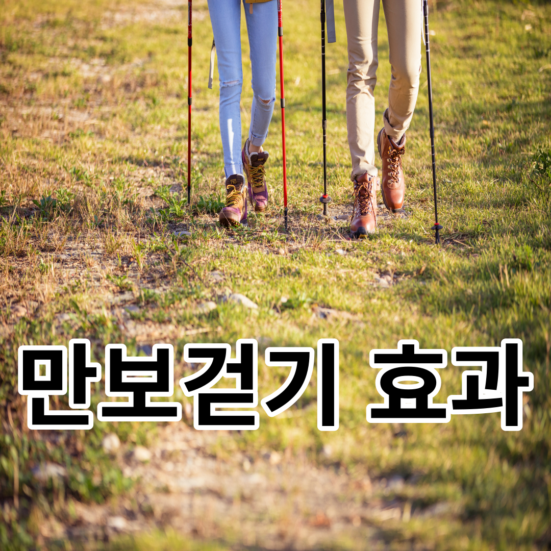 만보걷기 효과