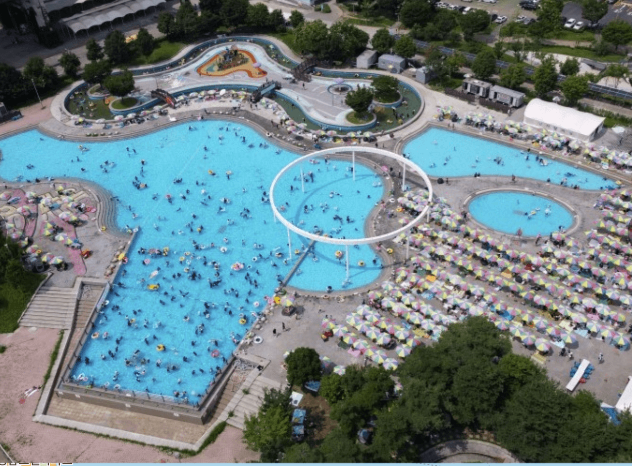  한강 수영장 뚝섬 수영장