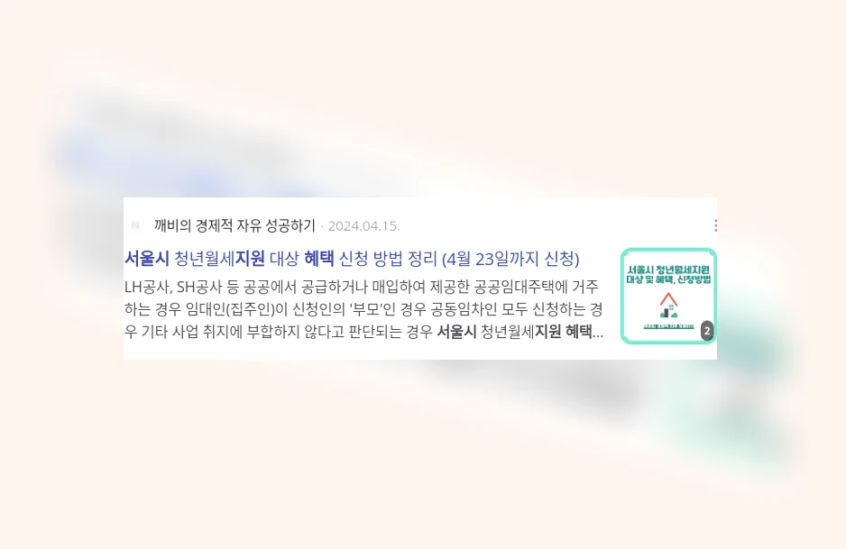 서울시 지원 혜택_3_subsection