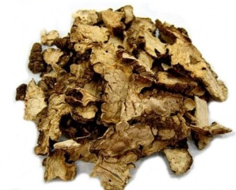 천궁 효능과 부작용 및 먹는 법