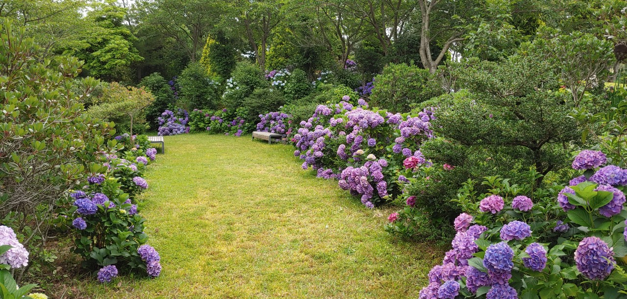통영 물빛소리정원