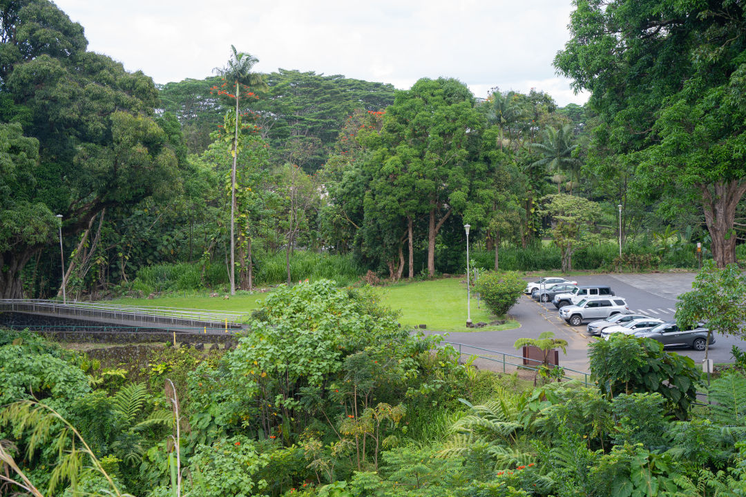 하와이 힐로 레인보우 폭포 주차장
