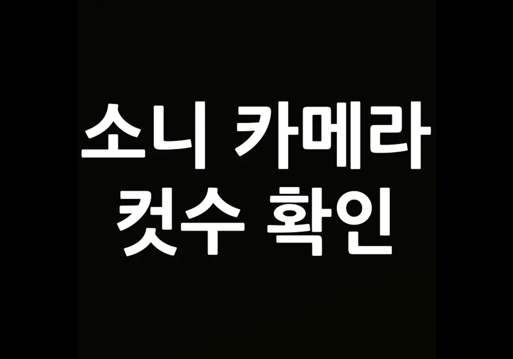 소니 카메라 컷수 확인 방법, 쉽고 간단한 방법