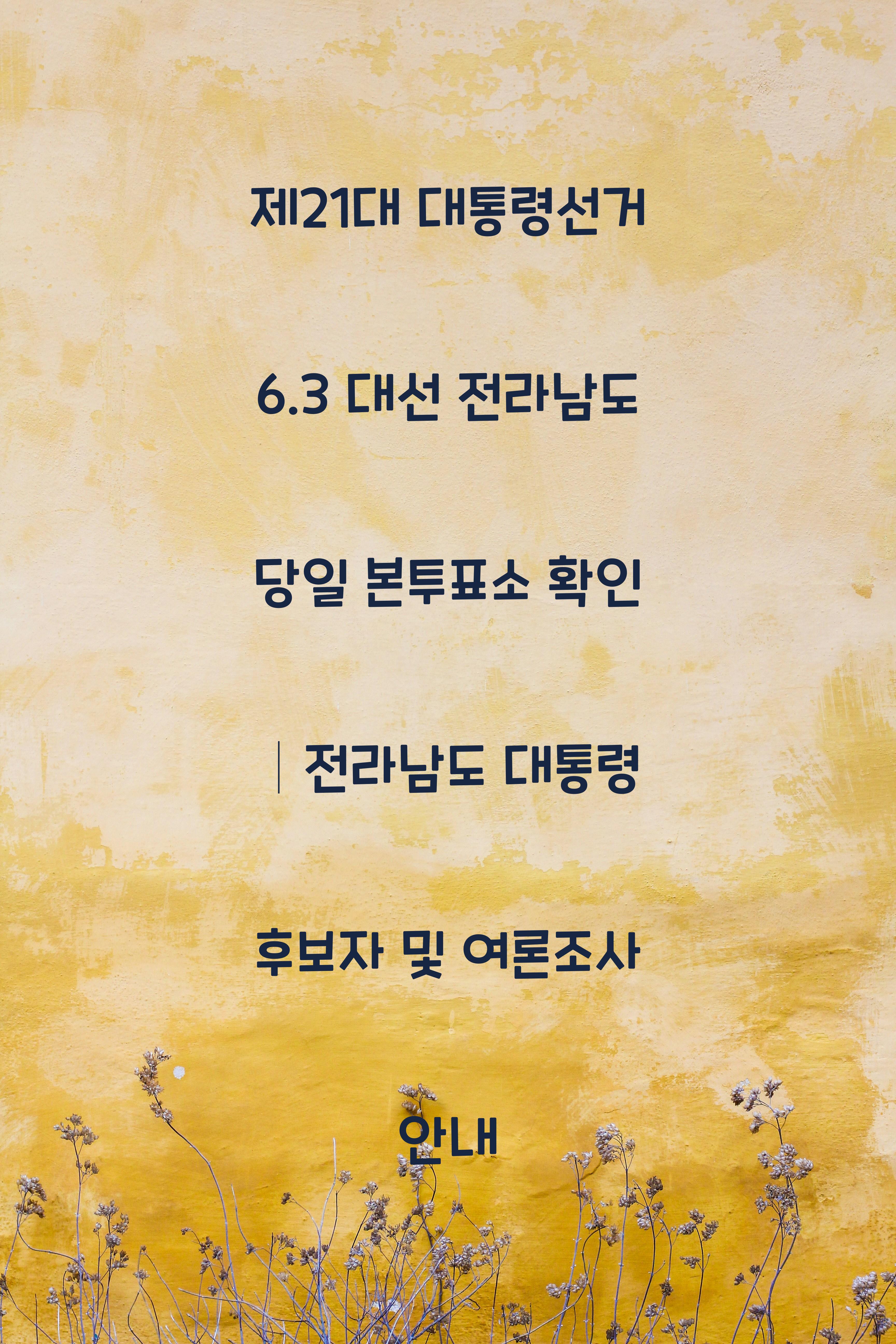 제21대 대통령선거 6.3 대선 전라남도 당일 본투표소 안내 │전라남도 대통령 후보자 및 여론조사 확인