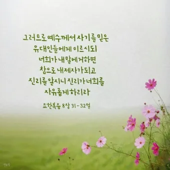 요한복음 10장 10절 성경말씀 - 내가 온 것은 양으로 생명을 얻게 하려 함이라_19