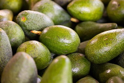 아보카도 효능, 먹는 방법, 보관법 총정리 (2024ver)