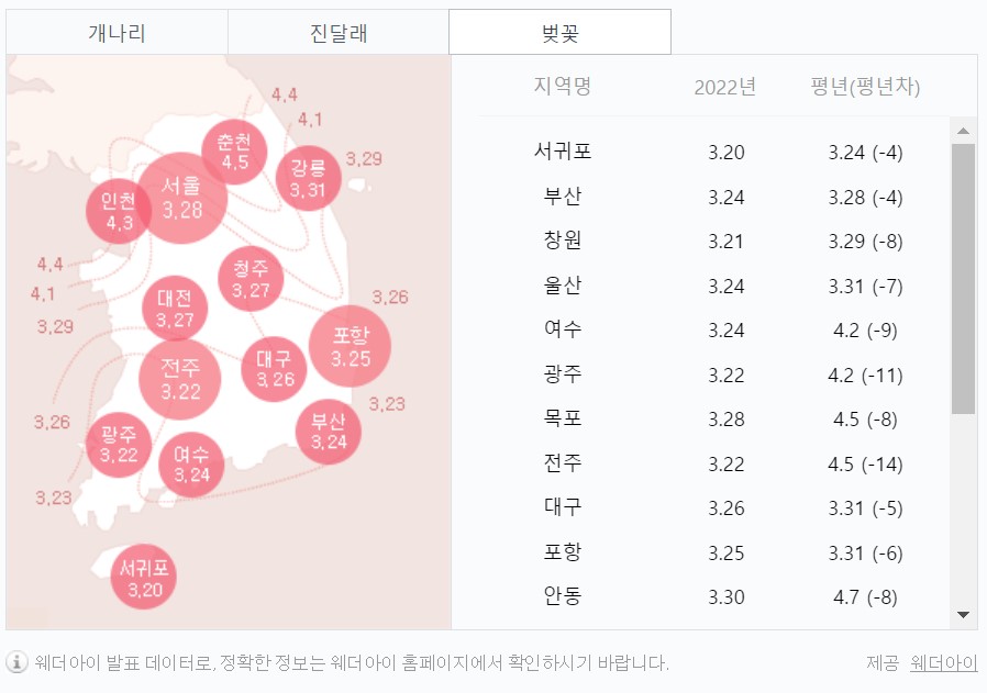 벚꽃 개화시기 2023