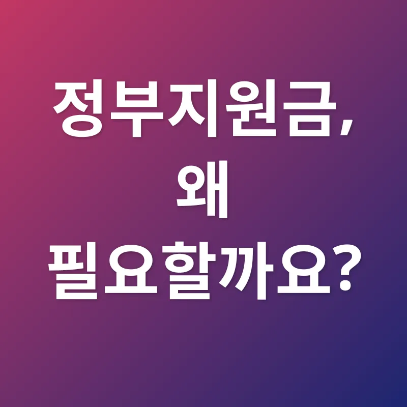 정부지원금_1