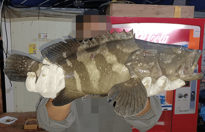 큰물고기-잡고-자랑