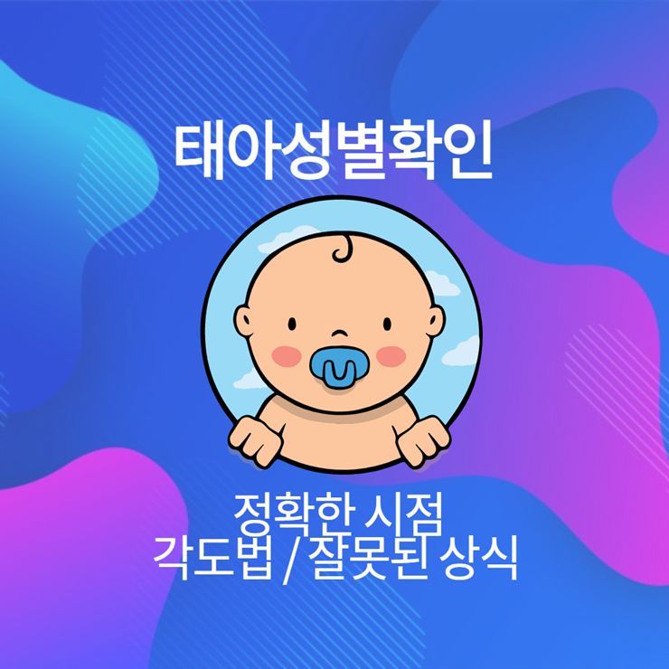 태아성별확인
