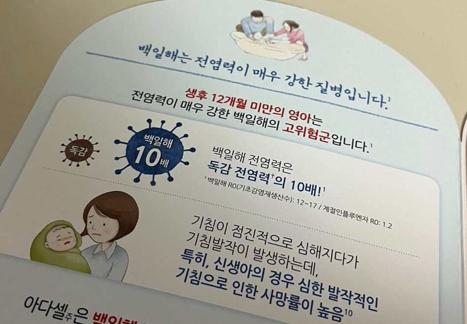백일해 전염력