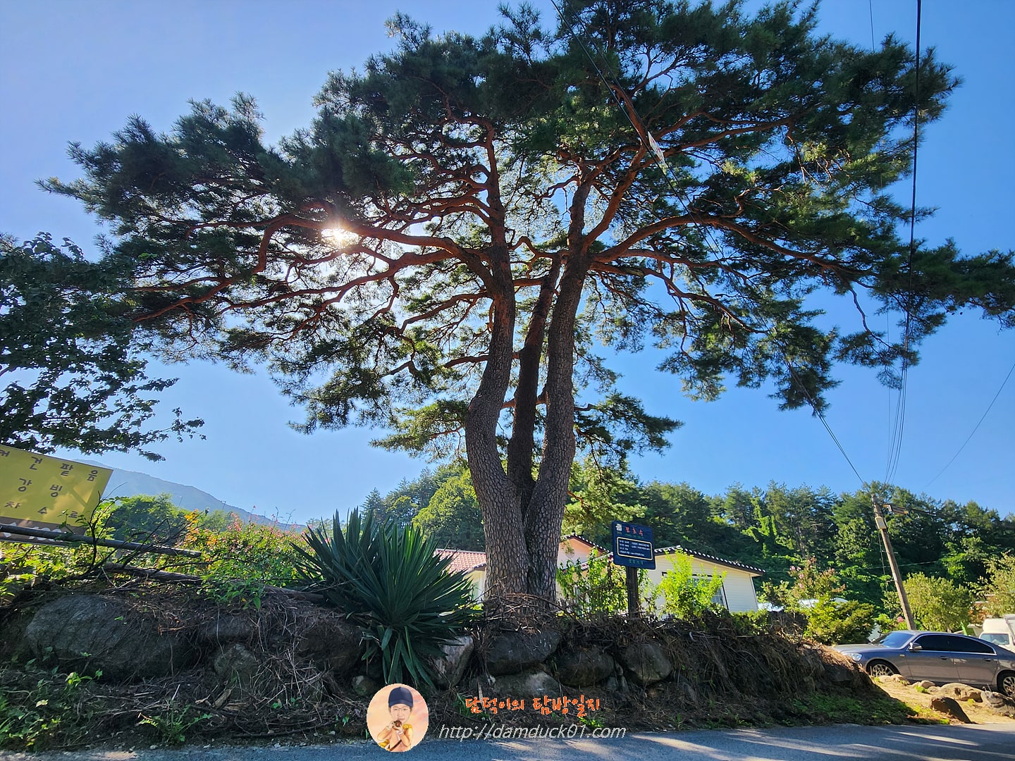 테라로사 커피공장 강릉본점 정원