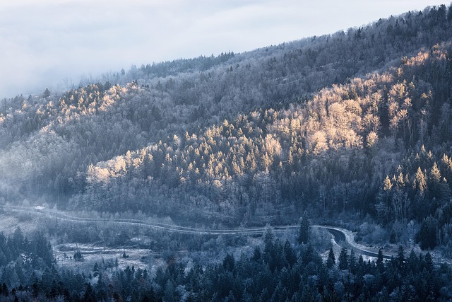 제주 한라산 주차장 완전 정복