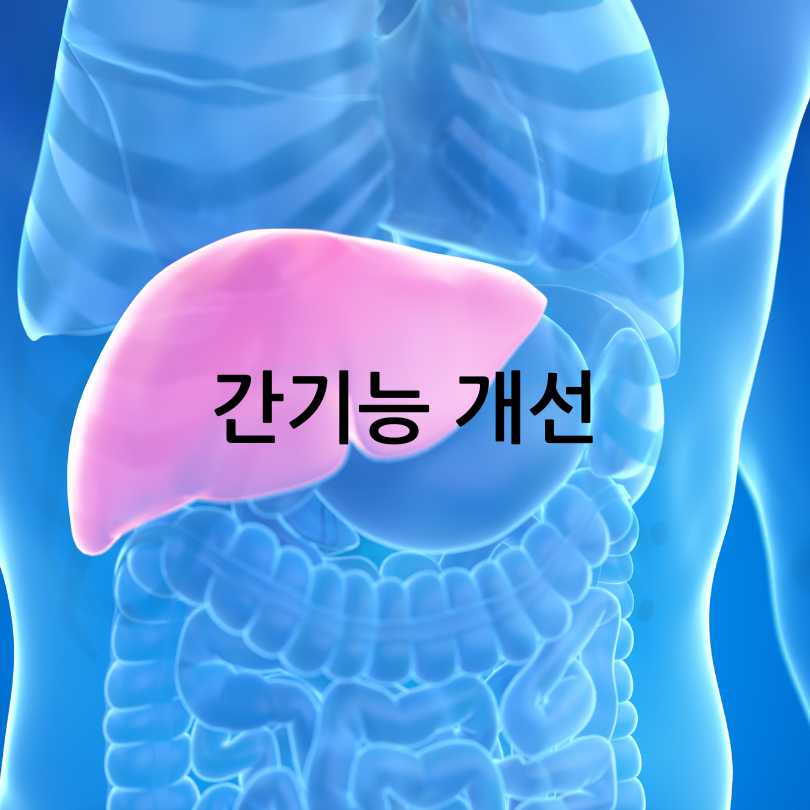 민들레 효능, 부작용, 복용법